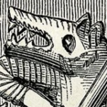 Profile picture of feather